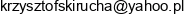 I P Group Krzysztof Skirucha Email address