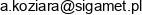 Agnieszka Koziara Sigamet Email address
