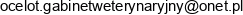 1 Kinga Dymerska Ocelot Gab Weterynaryjny 2 Ocelot Gabinet Weterynaryjny Wspolnik Spolki Cywilnej Adres e-mail