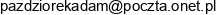 Posrednictwo Ubezpieczeniowe Pazdziorek Adam Email address