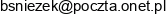 Niepubliczny Zaklad Opieki Zdrowotnej Praktyka Lekarza Rodzinnego Bozena Sniezek Adres e-mail