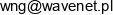 Wn Property Email address