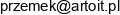 Artoit Przemyslaw Panek Email address