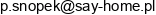 Say Home Email 1