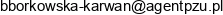 Posrednictwo Ubezpieczeniowe Barbara Borkowska Karwan Email address