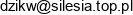 Oprogramowanie Cad Dr Wojciech Dzik Adres e-mail