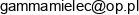 Zaklad Produkcyjno Uslugowy Gamma Email 1