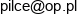 Pilc Fizjoterapia Piotr Pilc Email address