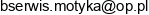 Artur Motyka P P H U Biuro Serwis Email address