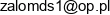 Zalom Domservice Email 1