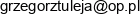 Grzegorz Tuleja Email address