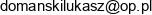 F H U Lukasz Domanski Adres e-mail