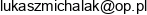 Lm Service Lukasz Michalak Email address