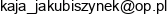 1 Jakubiszyn Karolina Deco Blysk Firma Sprzatajaco Czyszczaca 2 Safari Centrum Diagnozy I Terapii Dziecka Email address