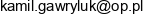 Kamil Gawryluk Przedsiebiorstwo Wielobranzowe Email address