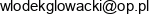 Firma Uslugowo Handlowa Big Music Wlodzimierz Glowacki Adres e-mail