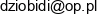 Bad Pixel Marcin Krug Email address