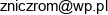 Roman Troczynski Przedsiebiorstwo Produkcyjno Handlowo Uslugowe Zniczrom Email address