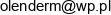 Przedsiebiorstwo Produkcyjno Handlowo Uslugowe Olmet Marcin Olender Email address