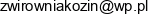 Przedsiebiorstwo Handlowo Uslugowo Produkcyjne Borkbud Jacek Borkowski Email address