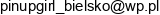 Elzbieta Kaczmarczyk Adres e-mail