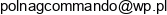 Agencja Ochrony Mienia Polnag Commando Email 1