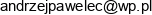 1 Uslugi Gastronomiczne Andrzej Pawelec 2 Klasyka Smaku Andrzej Pawelec Wspolnik Spolki Cywilnej Email address