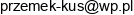 It Ecu Electronics Przemyslaw Kus Email address