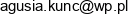 Przedsiebiorstwo Handlowo Uslugowe Olasis Agata Kunc Email address