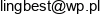 Lingbest Pawel Lingo Email address