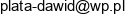 Akademia Nieprzecietnosci Dawid Plata Email address