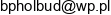 Biuro Rozwoju I Realizacji Projektow Budowlanych Hol Bud Email 1