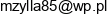 Uslugi Budowlane Zylla Email address