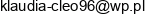 Dan Bud Przedsiebiorstwo Uslugowo Techniczne Klaudia Zborowska Email address