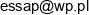P P H U Essap Piotr Jaraszek Email address