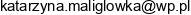 V R Consulting Katarzyna Maliglowka Email address