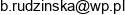 Infoart Bozena Rudzinska Email address