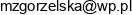 A I B Plus Magdalena Zgorzelska Email address