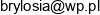 Kafelkarstwo I Wykonczenie Wnetrz Adam Brylowski Email address