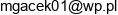 Ekspert Maciej Gackowski Email address