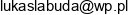 Labuda Lukasz Warsztat Samochodowy Email address