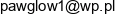 Leanthink Consulting Pawel Glowacki Adres e-mail
