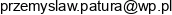 Afm Consulting Przemyslaw Patura Email address