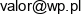 Phup Ireneusz Walendowski Email address
