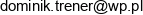 Dpm Dominik Ossowski Email address