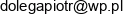 P T H Dkp Express Dolega Piotr Email address