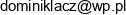 Uslugi Ciesielsko Dekarskie Dominik Lacz Email address