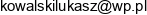 E System Lukasz Kowalski Email address