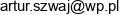 Artur Szwajkowski Arts Project Email address