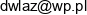 Dnb Soft Dariusz Wlaz Email address